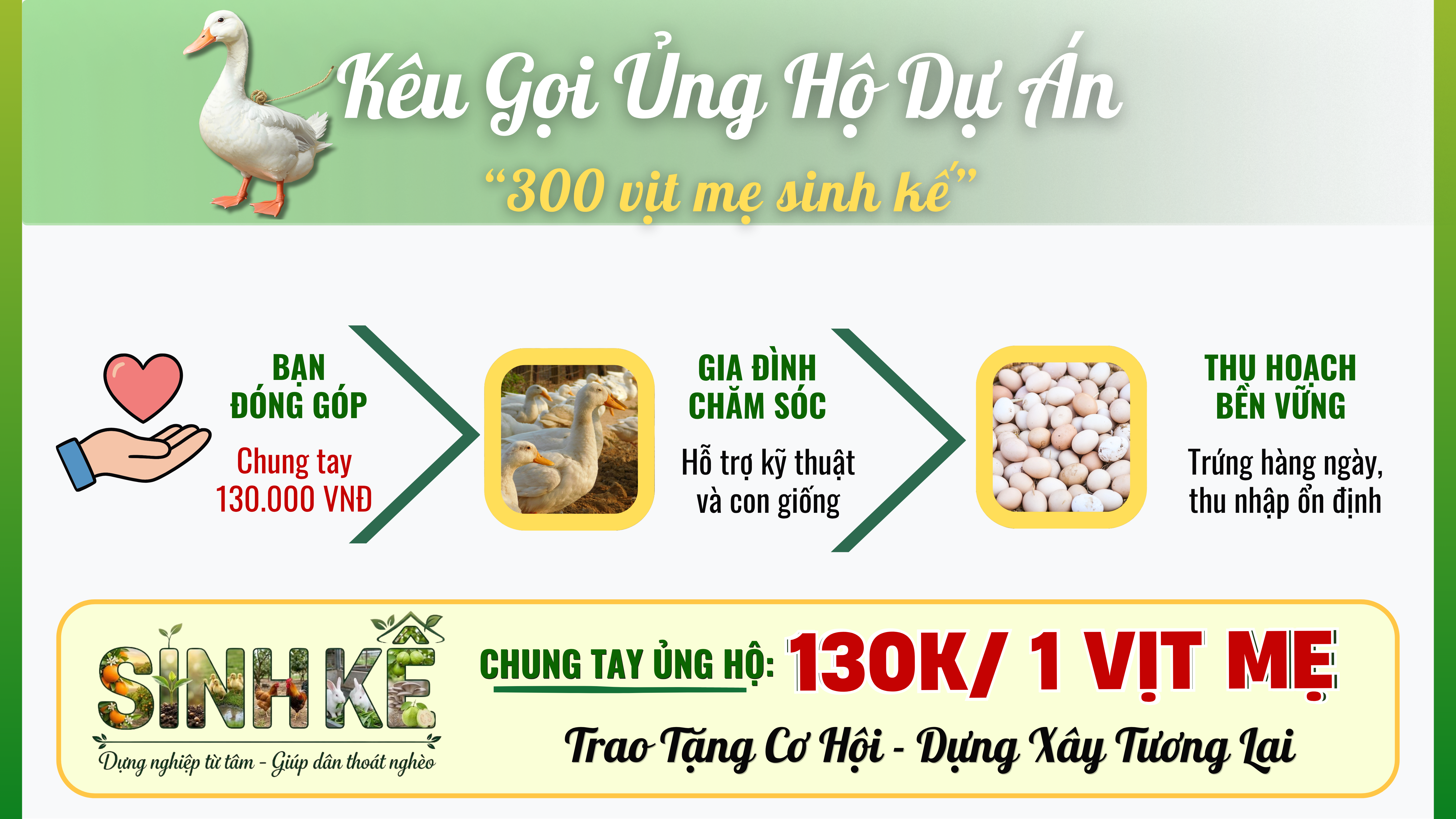 Mô hình Vịt Mẹ